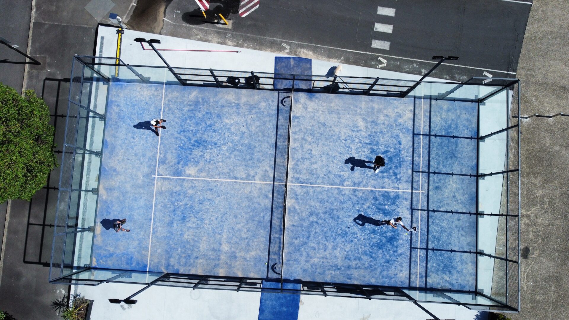 Synthetic Pickleball Court - Sydney Racquet Club
